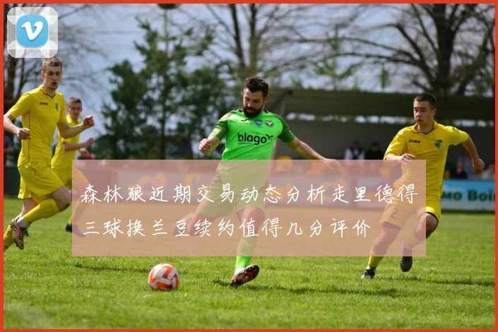 森林狼近期交易动态分析走里德得三球换兰豆续约值得几分评价