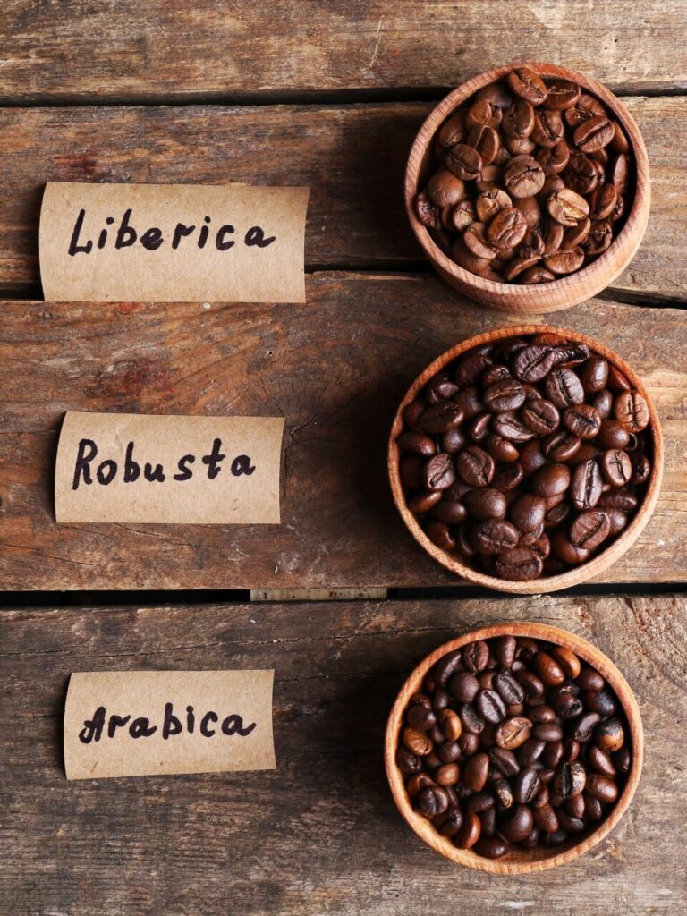 Arabica, Robusta, and Liberica coffee beans